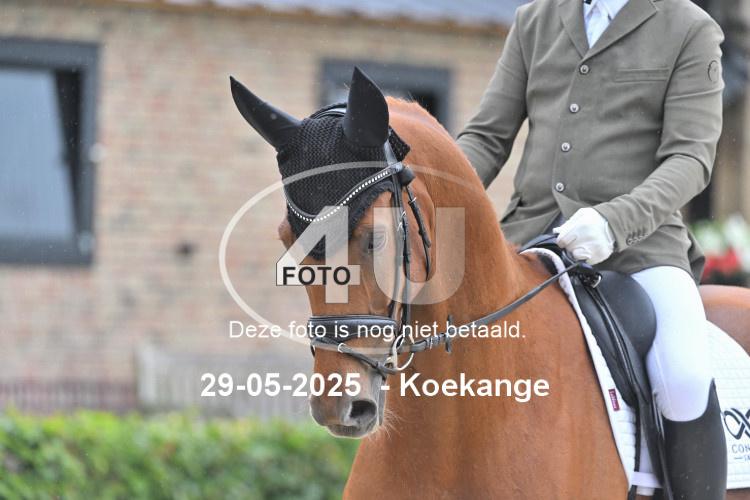 250529 0748