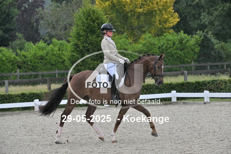 250529 0767