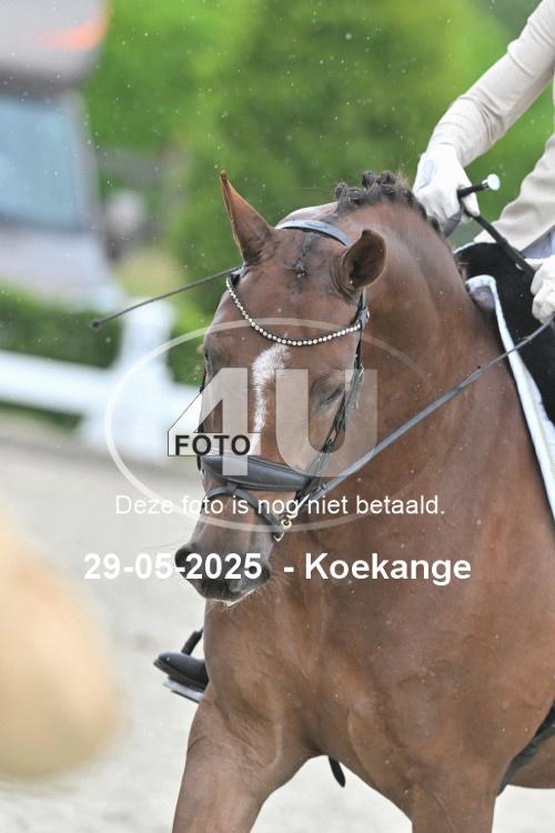 250529 0787