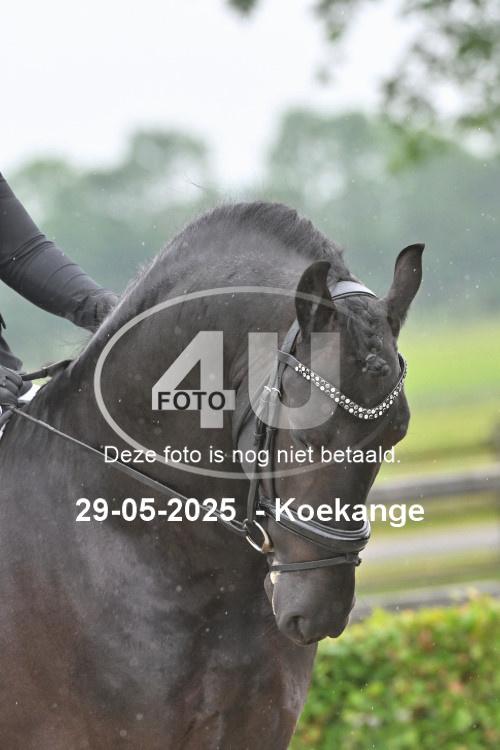 250529 0817