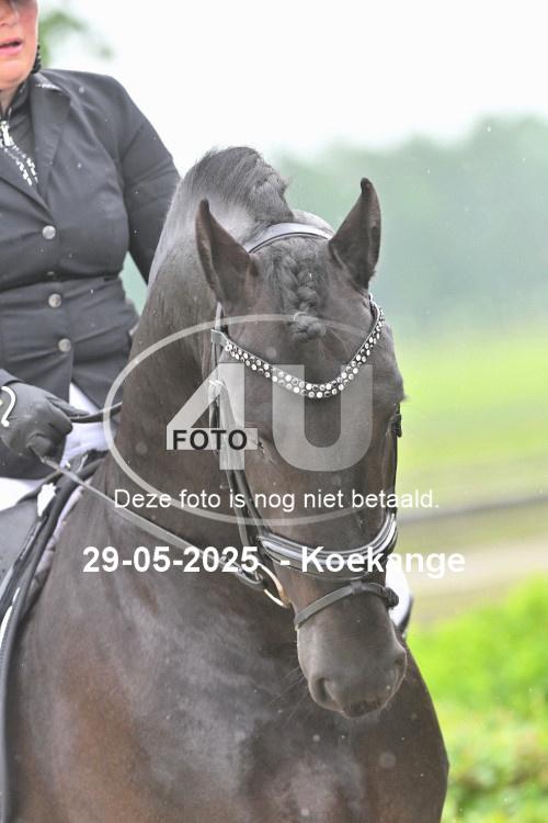 250529 0822