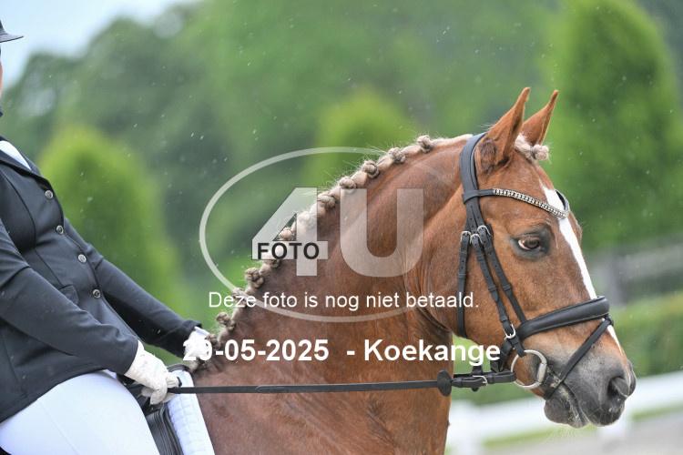 250529 0957