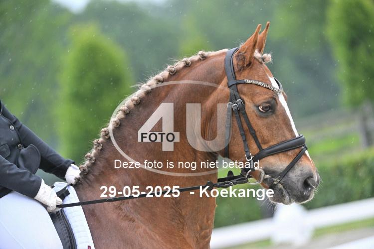 250529 0958