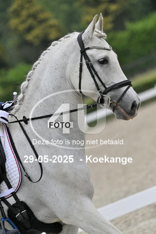 250529 1316