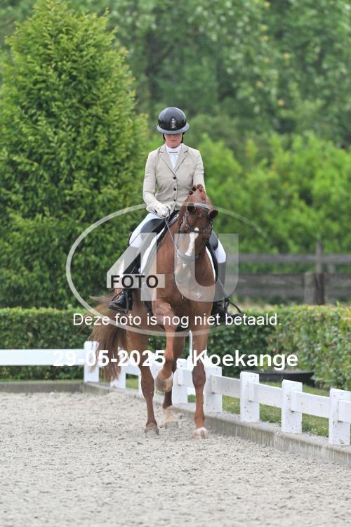 250529 1439