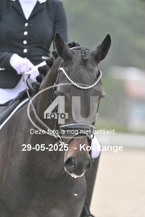 250529 1605