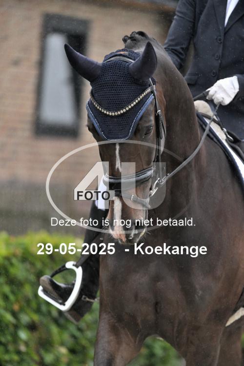 250529 1752