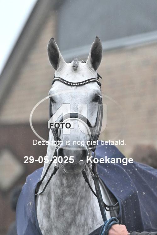 250529 1841