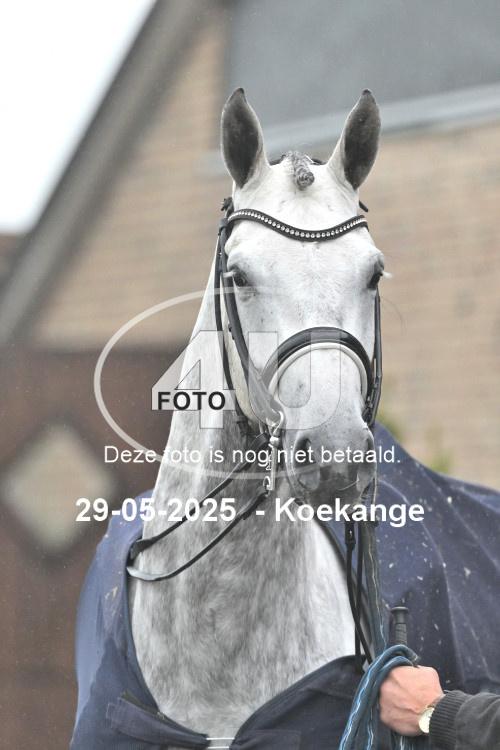250529 1843