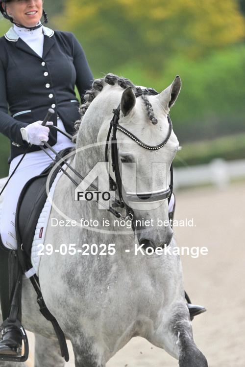 250529 1951