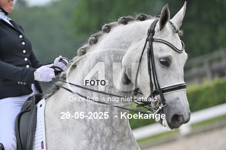 250529 1980