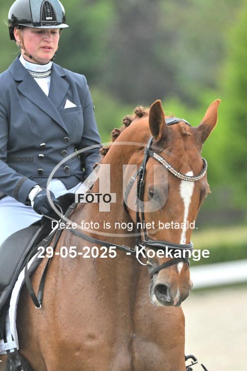 250529 2141