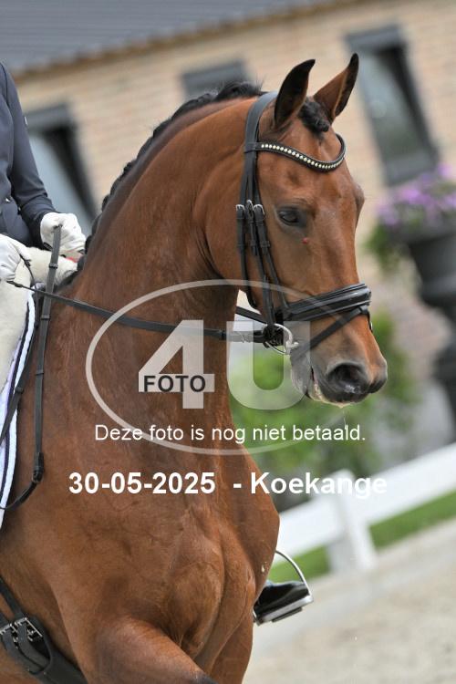 250530 0649