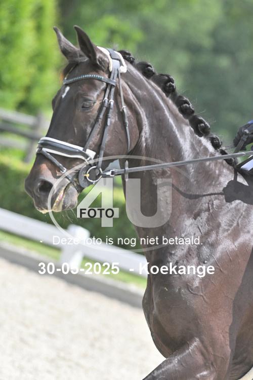250530 1440