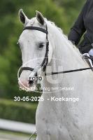 250530 1742