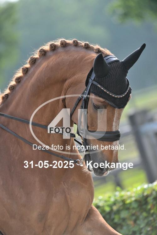 250531 0023