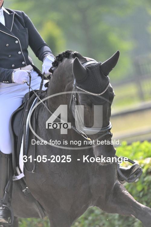 250531 0042