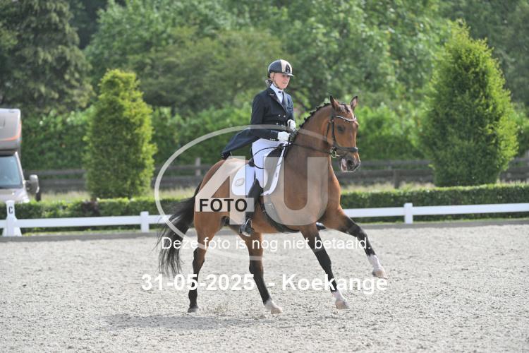 250531 0538