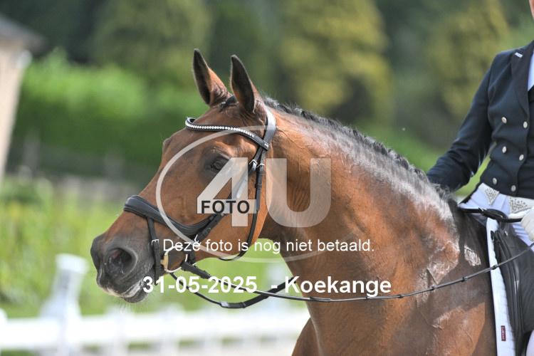 250531 0565