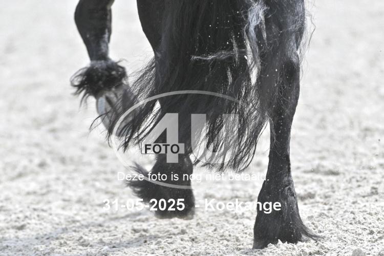 250531 0583