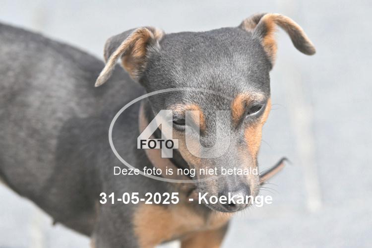 250531 0770