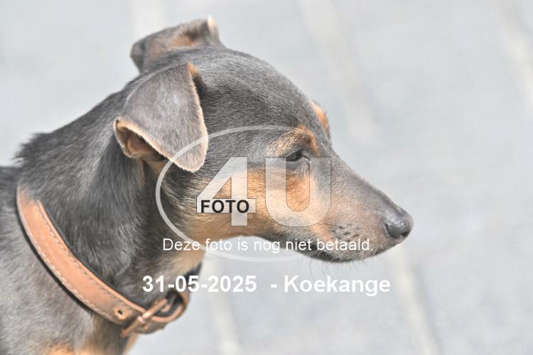 250531 0773