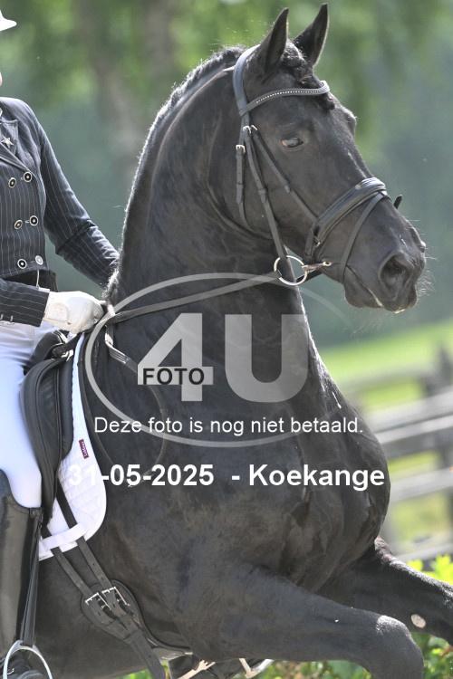 250531 0794
