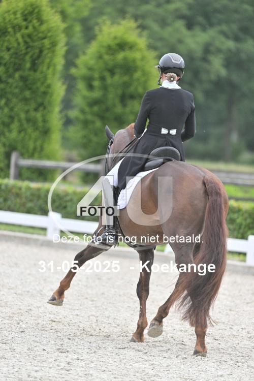250531 1183