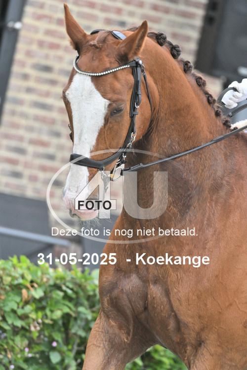 250531 1343