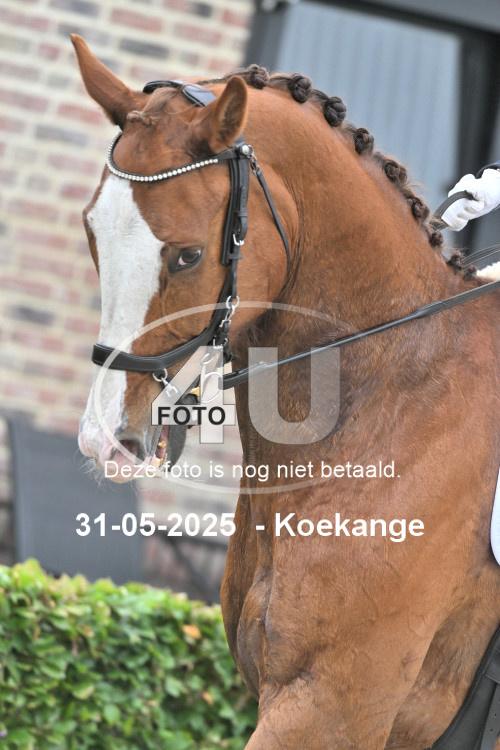250531 1344