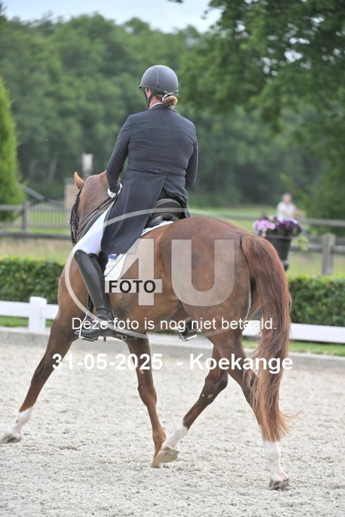 250531 1484