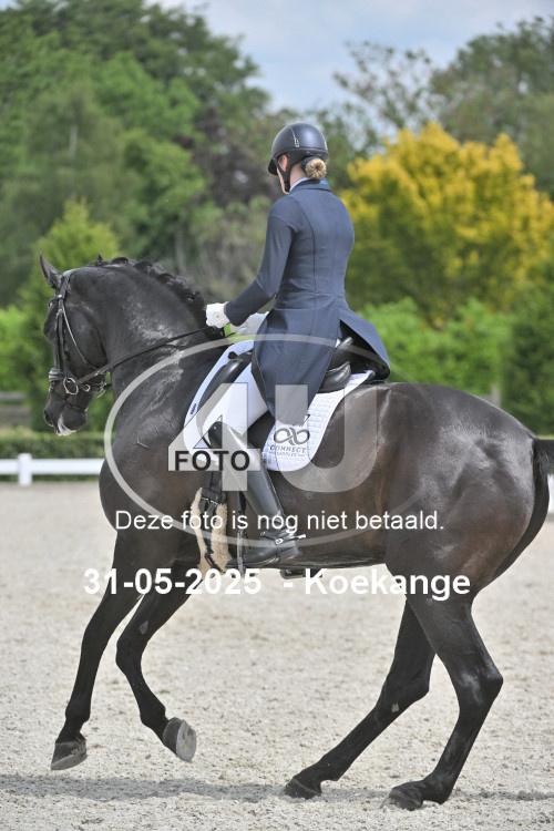 250531 1763