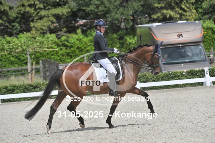 250531 2052