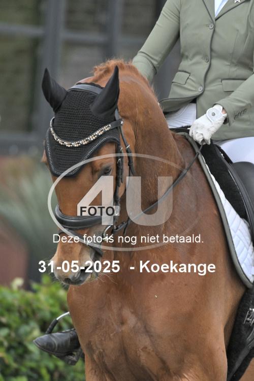 250531 2153