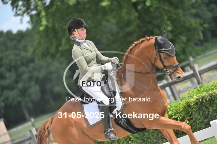 250531 2175