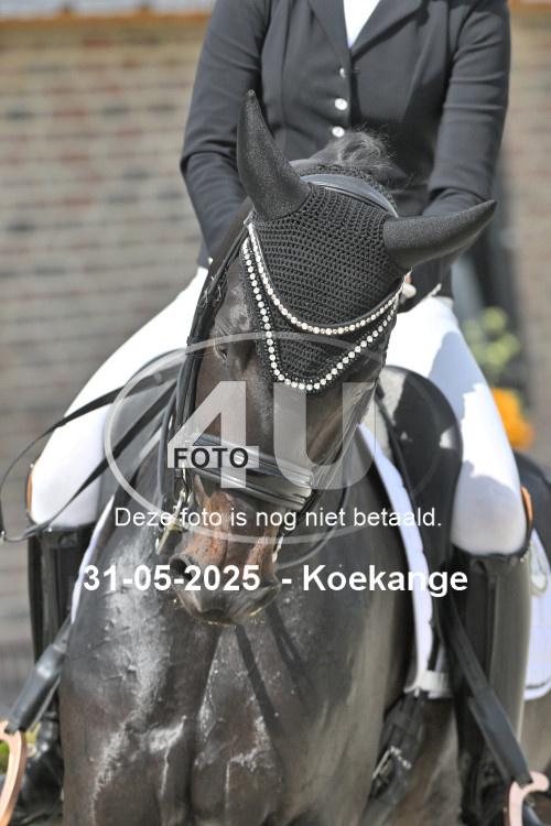 250531 2308