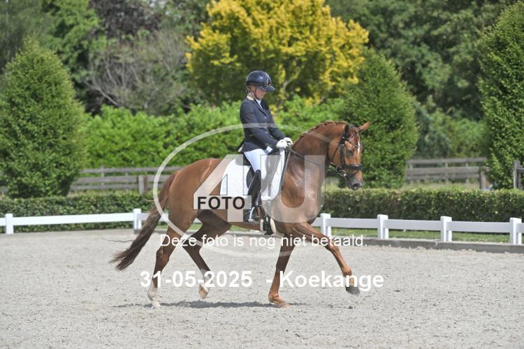250531 2342