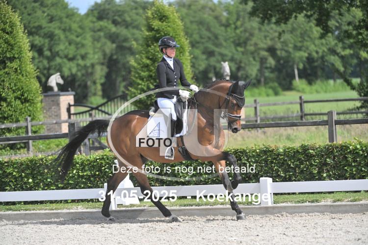 250531 2494
