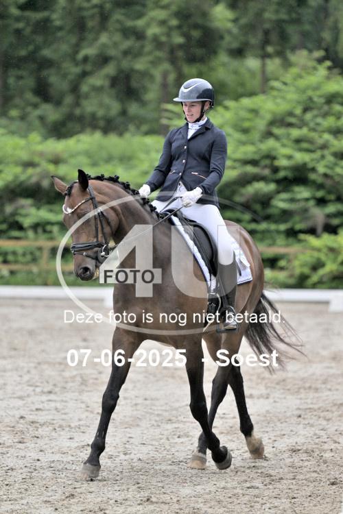 ZZL 8845
