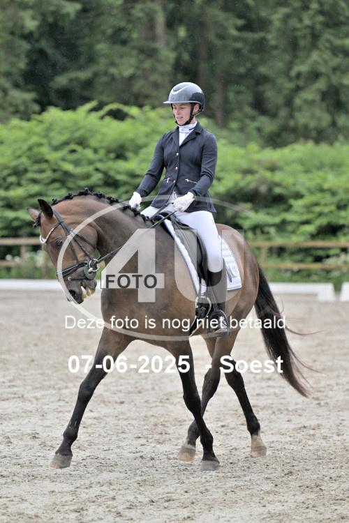ZZL 8846