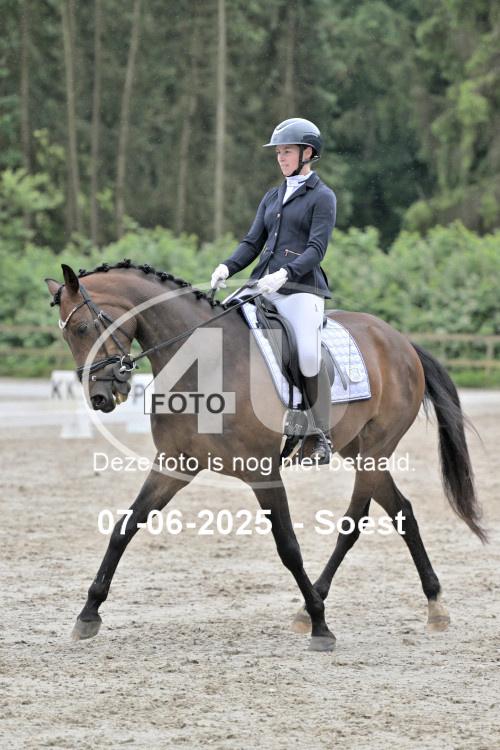 ZZL 8848