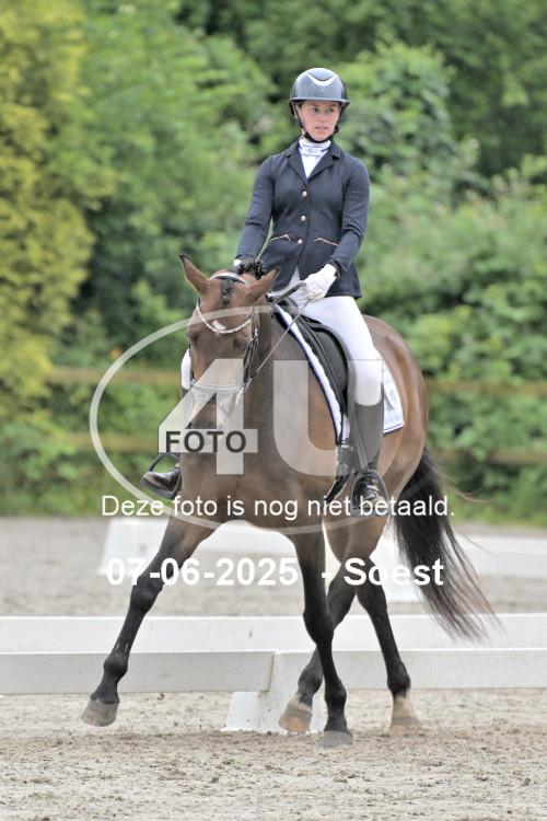 ZZL 8859