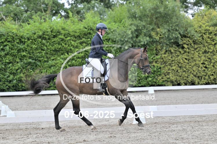 ZZL 8882