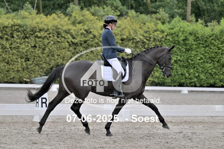 ZZL 8928