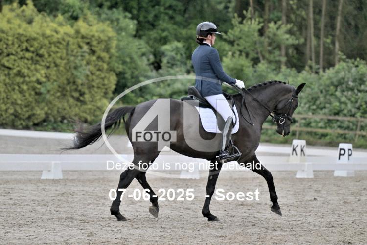 ZZL 8931