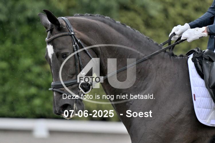 ZZL 8936
