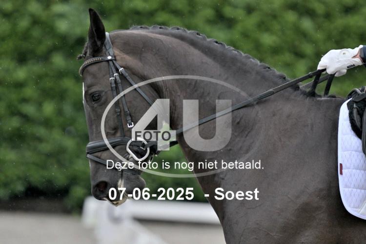 ZZL 8937