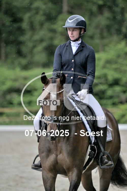 ZZL 9013