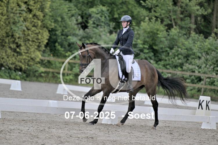 ZZL 9019