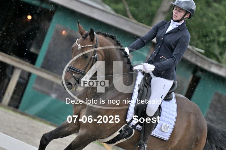 ZZL 9021